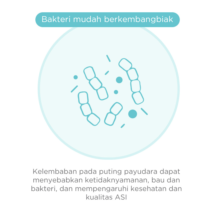 Nursing Pad MOOIMOM