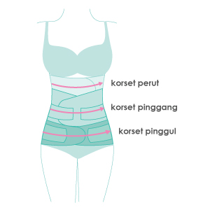 size guide picture