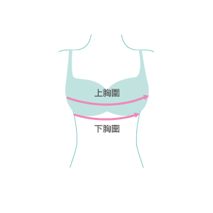 size guide picture