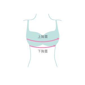 size guide picture