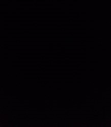 Black Black