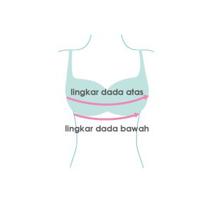 size guide picture