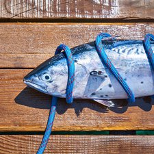 Manfaat Minyak Ikan untuk Bayi