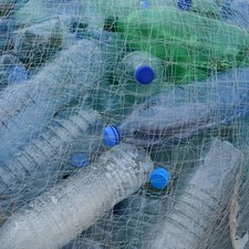 Apakah Plastik BPA Penyebab Sulit Hamil?