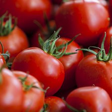 4 Manfaat Luar Biasa Buah Tomat Bagi Ibu Hamil